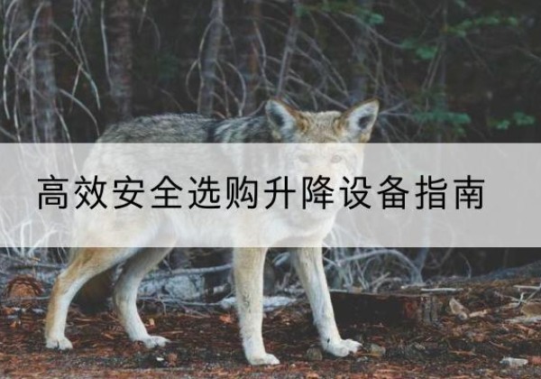 盐源升降货梯厂家推荐-*安全选购升降设备指南