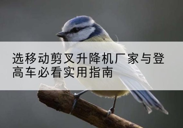 盐源电动升降机厂家-选移动剪叉升降机厂家与登高车必看实用指南