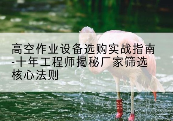 盐源剪叉式升降机厂家-高空作业设备选购实战指南-十年工程师揭秘厂家筛选核心法则